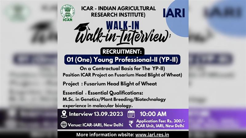 ICAR - INDIAN AGRICULTURAL RESEARCH INSTITUTE (IARI)